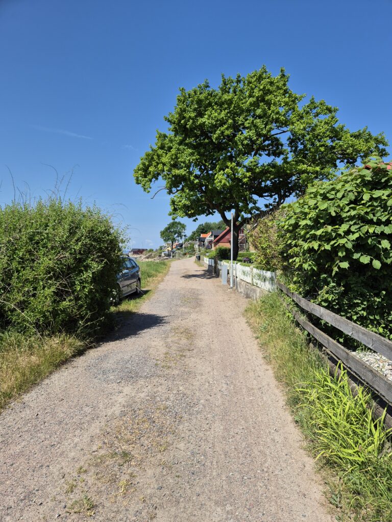 Idyllisk cykelväg längs en grusväg och buskar