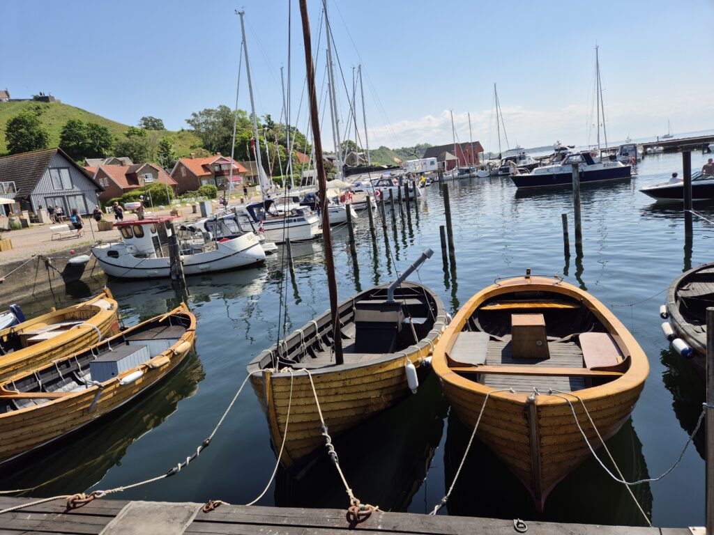 2 ekor som gungar i vattnet i småbåtshamen.