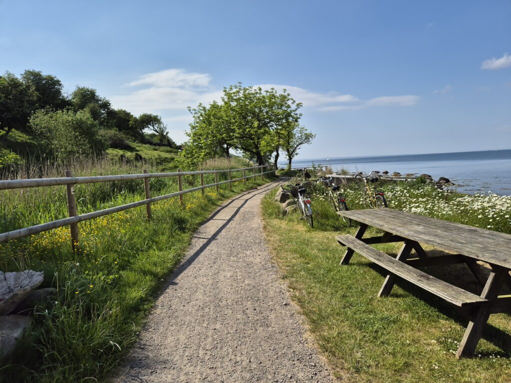 Grusväg vid havet