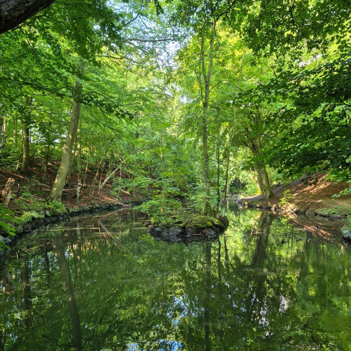 Vacker grönskande bild av parken Jordbodalen.