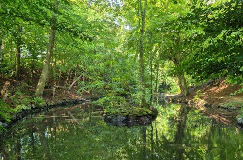 Vacker grönskande bild av parken Jordbodalen.