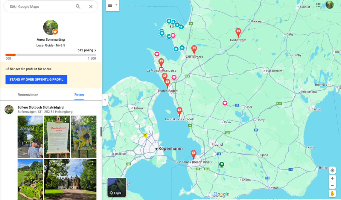 Google maps local guide